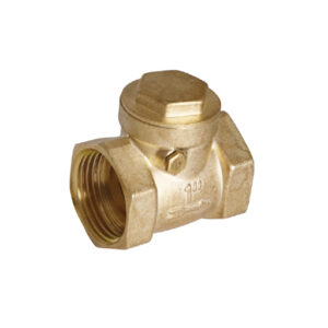 HORIZONTAL CHECK VALVE (Heavy) (Y-009)