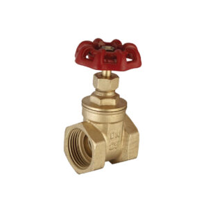 GATE VALVE (Heavy) (Y-007)