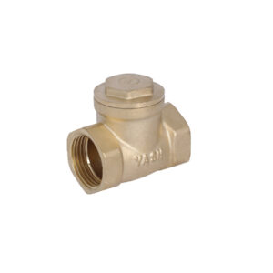HORIZONTAL CHECK VALVE (Y-004)