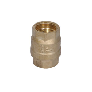 VERTICAL CHECK VALVE (Y-005)